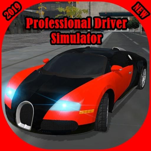 Professional Driver - Car Racing 2019-2020 icon