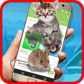 Cat vs Mouse on Screen icon