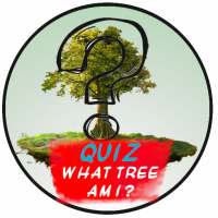 Quiz.What Tree Am I ?