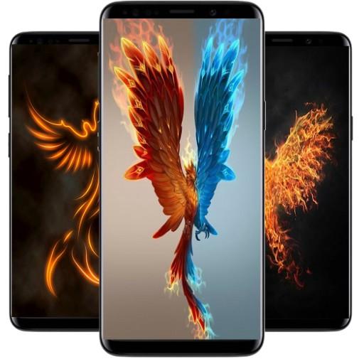 Phoenix Wallpapers icon
