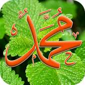 وصايا الرسول لأمته كاملة on 9Apps