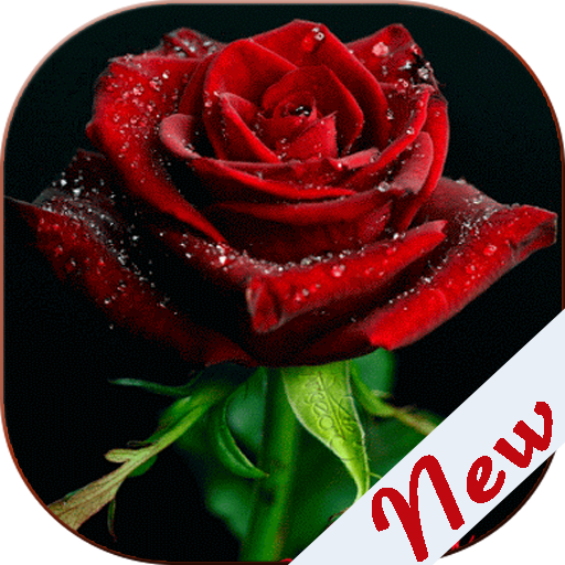 Flowers and Roses Images Gifs icon