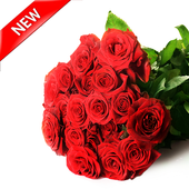 Adesivi rosa per WhatsApp icon