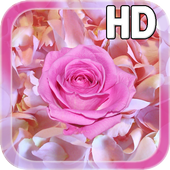 Rose Petals Live Wallpaper icon
