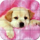 Puppies - Puzzle