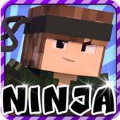 Ninja Skins for Minecraft