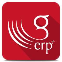 G-ERP