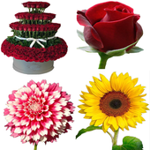 autocollants fleurs 2020 pour WhatsApp - WASticker icon