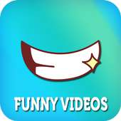 Funny Videos