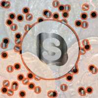 Signal: HD video call and chat