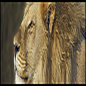 Animal Sounds For Kids icon