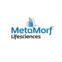 MetaMorf Lifesciences