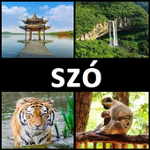 4 kép 1 szó 2020 иконка