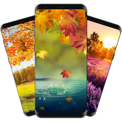 Autumn Wallpapers &amp; Themes icon