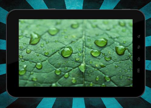 Water Drop Real Live Wallpaper screenshot 8