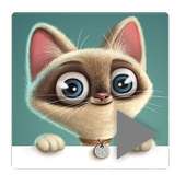 Funny videos daily 2016