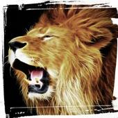 Wild Lion Hunting Sniper 3D icon