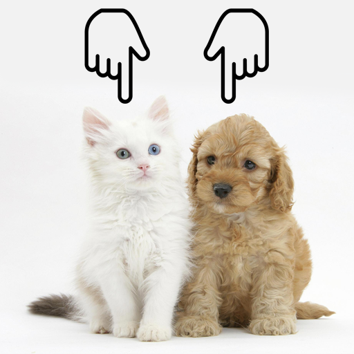 Learn Animals Free - Tracing &amp; Locating icon