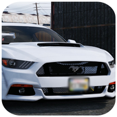 Car Driving Zone 3D icon