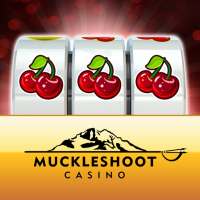Muckleshoot Social Casino
