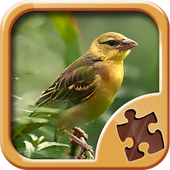 Birds Puzzle Games icon