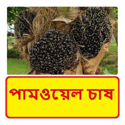 পামওয়েল চাষ ~ Palm oil farming icon