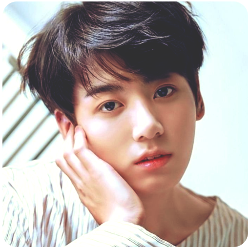 Jungkook BTS KPOP Wallpaper icon