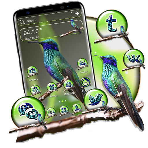 Violetear Hummingbird Theme icon