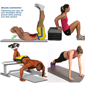 Home Workouts : No Equipment - Fit Challenge icon