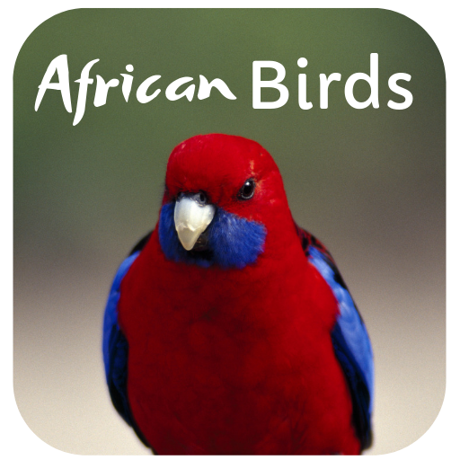 African Birds Sounds South African Birds Sounds icon