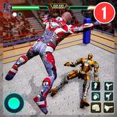 Real Robot Ring Fighting - Robot Wrestling 2019