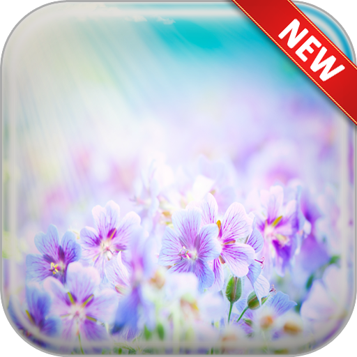 Summer Flowers Wallpapers icon