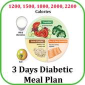 3 Day Diet : Diabetic Patients Diet in 3 Days