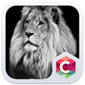 Black &amp; White Lion Theme HD icon