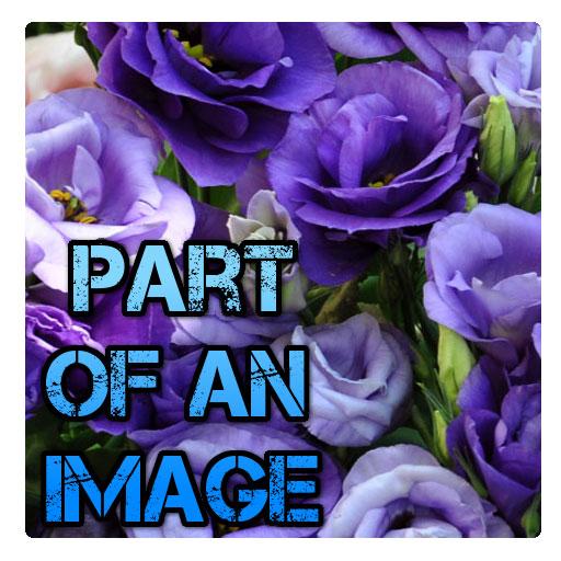 Part Of An Image icon