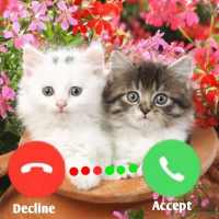 Call Flash Color 3D: Caller Screen Themes Free