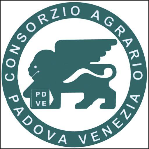 Linee Difesa 2013 icon