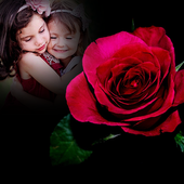 Rose Cover Photo Frames icon