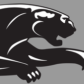 Panther icon