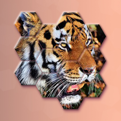 Block hexa puzzle - Animals Jigsaw icon