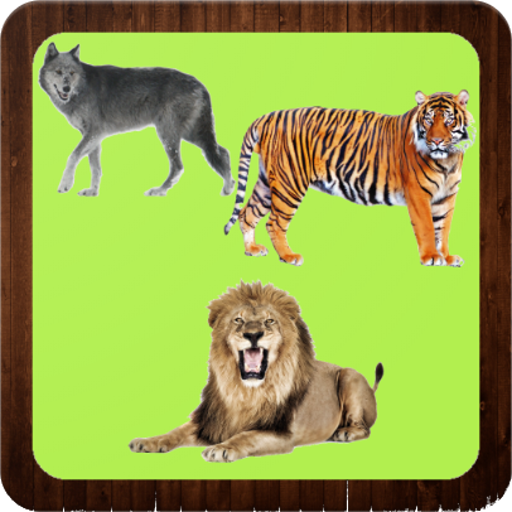 Wild Animals - Learning Name of Animals icon