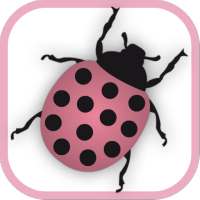 Mes Points de Permis