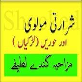Urdu Adult Jokes Online icon