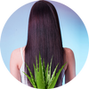 Hair Fall Control Tips Hindi icon