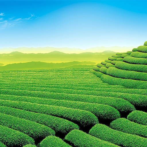 ikon Garden Wallpapers HD