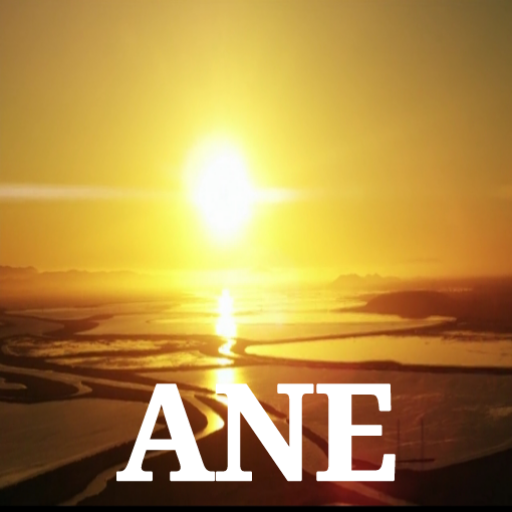 ANE icon
