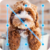 Poodle Dogy Style  AppLock icon