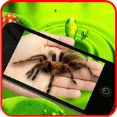 Spider on hand Camera Prank on 9Apps