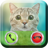 Talking Cat Calling icon
