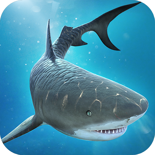Shark &amp; Crocodile Fight icon